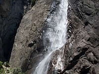 DSC 2748  Lower Yosemite Falls : flowers