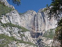 DSC 3168  Yosemite Falls : flowers